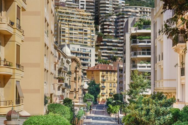 The Rising Influence of Sue Tavana in Real Estate: Reviews, Platforms, and Her Pepperdine Roots